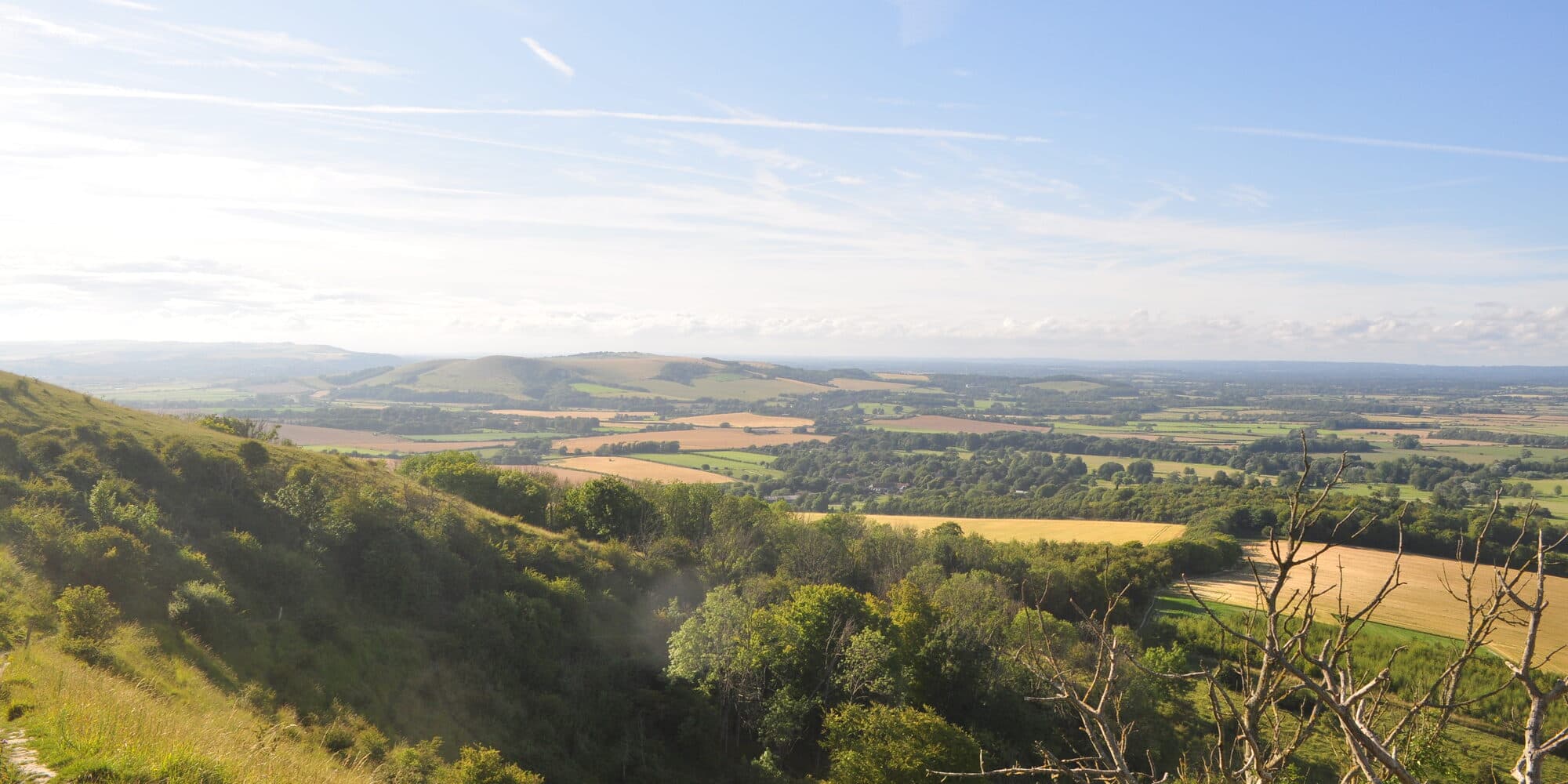 Late summer view from the South Downs above Firle, looking north across the Sussex Weald