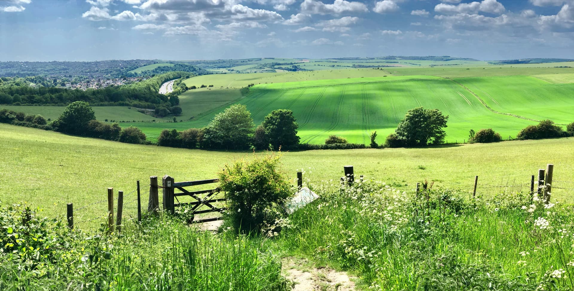 A wooden gate opening onto the rolling green of the South Downs