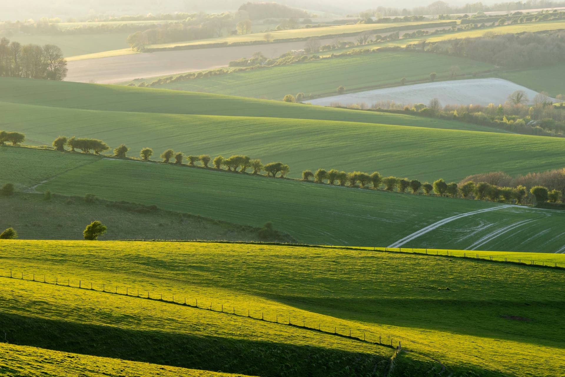 Rolling green hills of the South Downs near Brighton