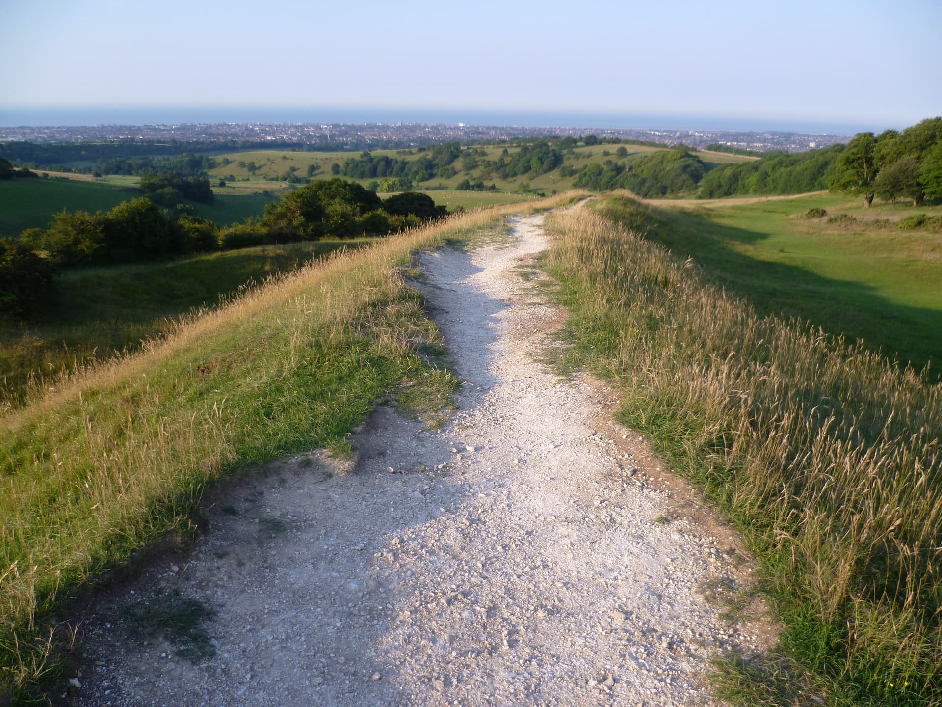 The chalk path across Cissbury Ring above Worthing